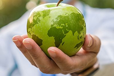 hand holding an apple that looks like the Earth