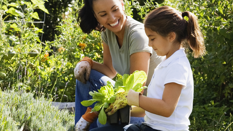 Get ready to dig in! We provide solutions to your most common garden challenges to help you get growing.