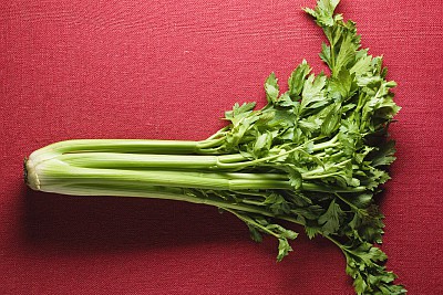celery on a red background