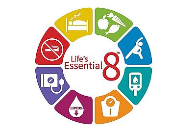 AHA Life's Essential 8 graphic