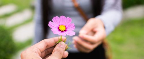 giving a flower to someone