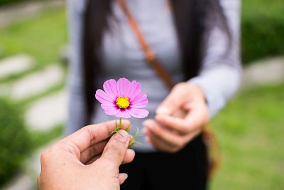 person giving a flower