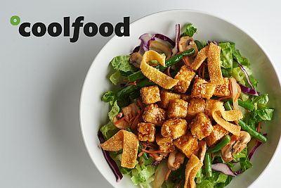 coolfood logo with salad