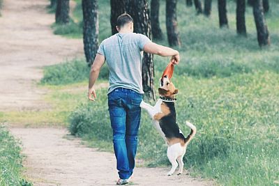man walking dog with frisbee