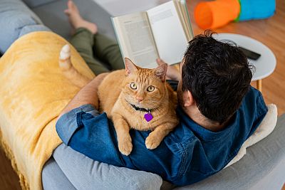 man reading with cat
