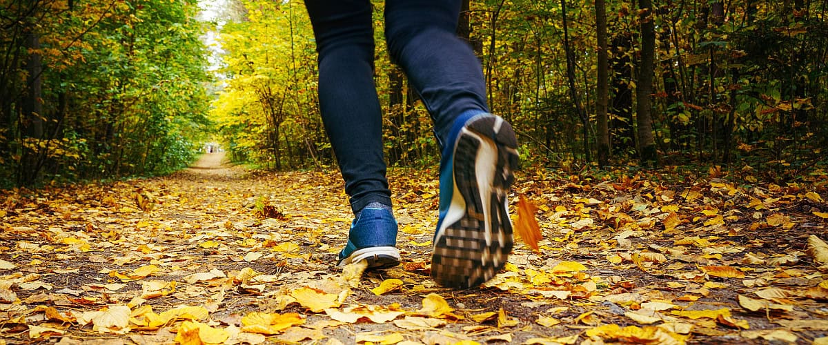 walking in the woods