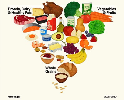 food guide pyramid