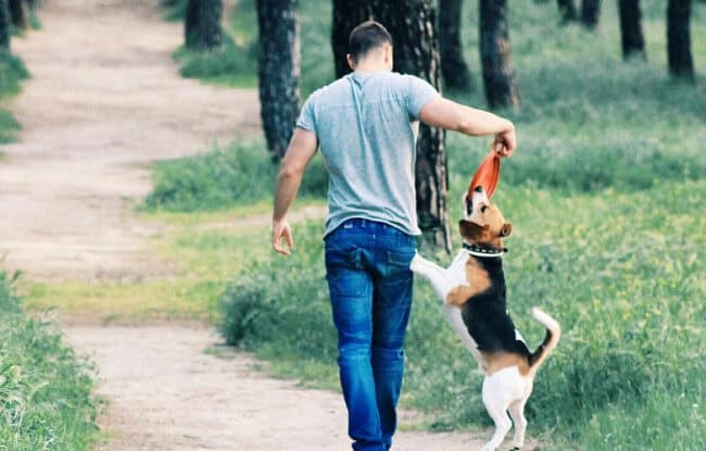 man walking dog