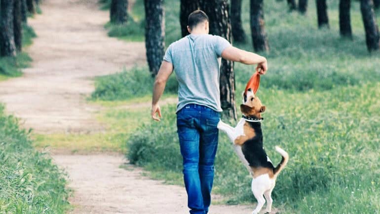 man walking dog